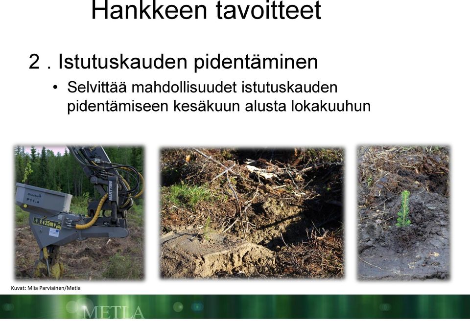 mahdollisuudet istutuskauden