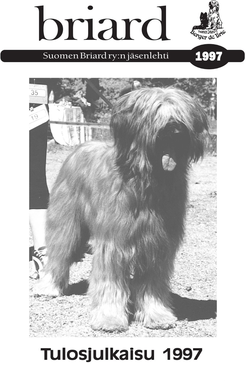 Briard