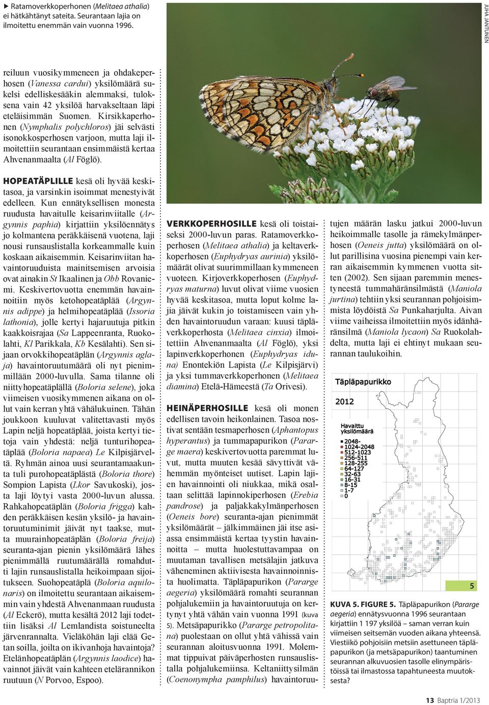Kirsikkaperhonen (Nymphalis polychloros) jäi selvästi isonokkosperhosen varjoon, mutta laji ilmoitettiin seurantaan ensimmäistä kertaa Ahvenanmaalta (Al Föglö).