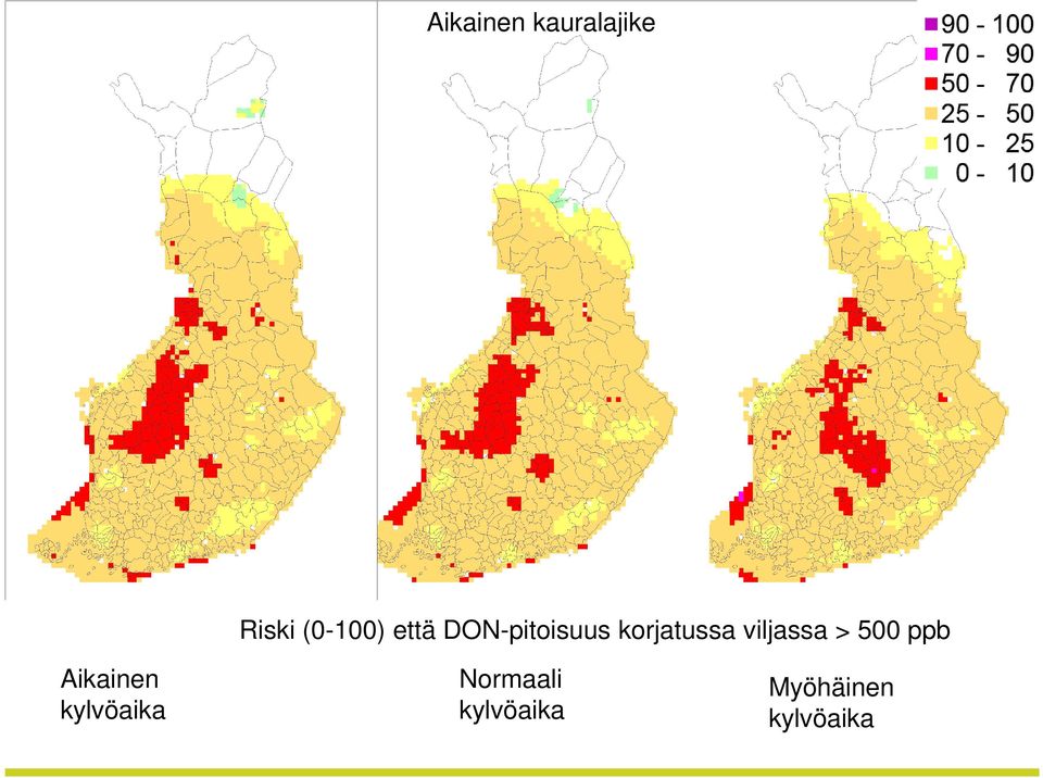 viljassa > 500 ppb Aikainen