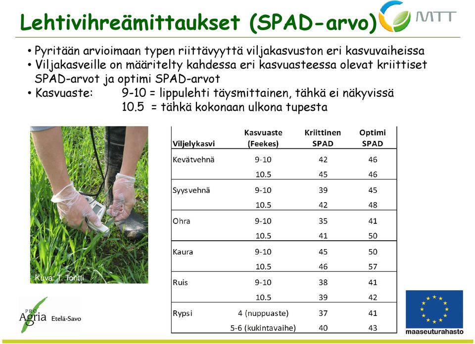 kasvuasteessa olevat kriittiset SPAD-arvot ja optimi SPAD-arvot Kasvuaste: 9-10 =
