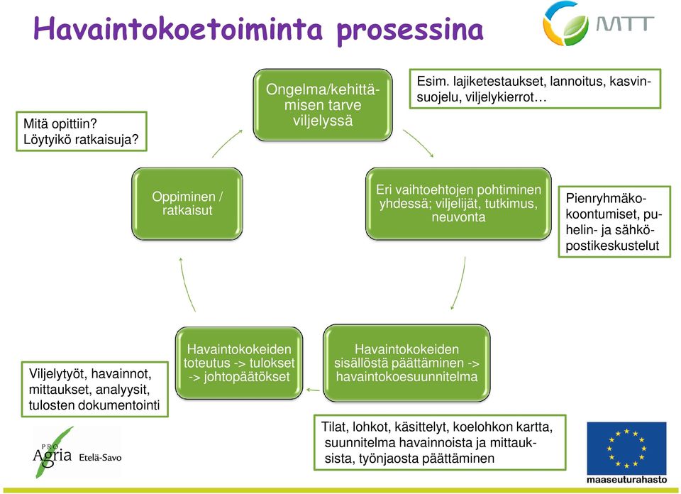 Pienryhmäkokoontumiset, puhelin- ja sähkö- postikeskustelut Viljelytyöt, havainnot, mittaukset, analyysit, tulosten dokumentointi Havaintokokeiden toteutus