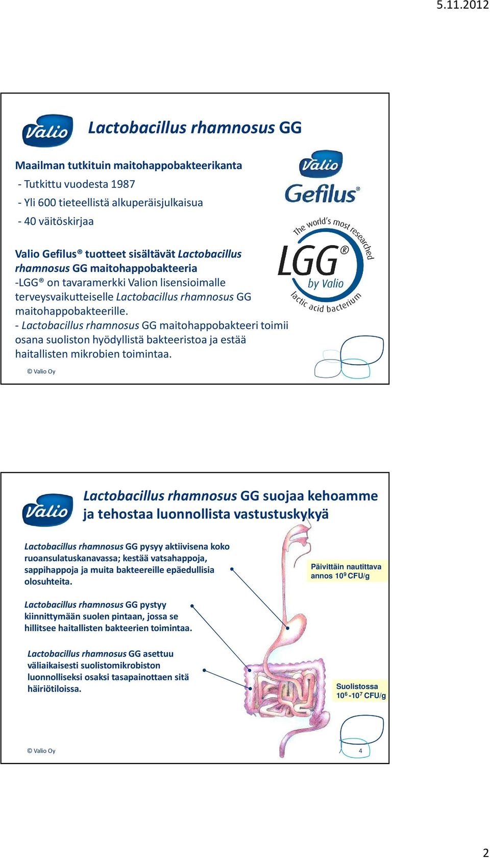 -LactobacillusrhamnosusGG maitohappobakteeri toimii osana suoliston hyödyllistä bakteeristoa ja estää haitallisten mikrobien toimintaa.