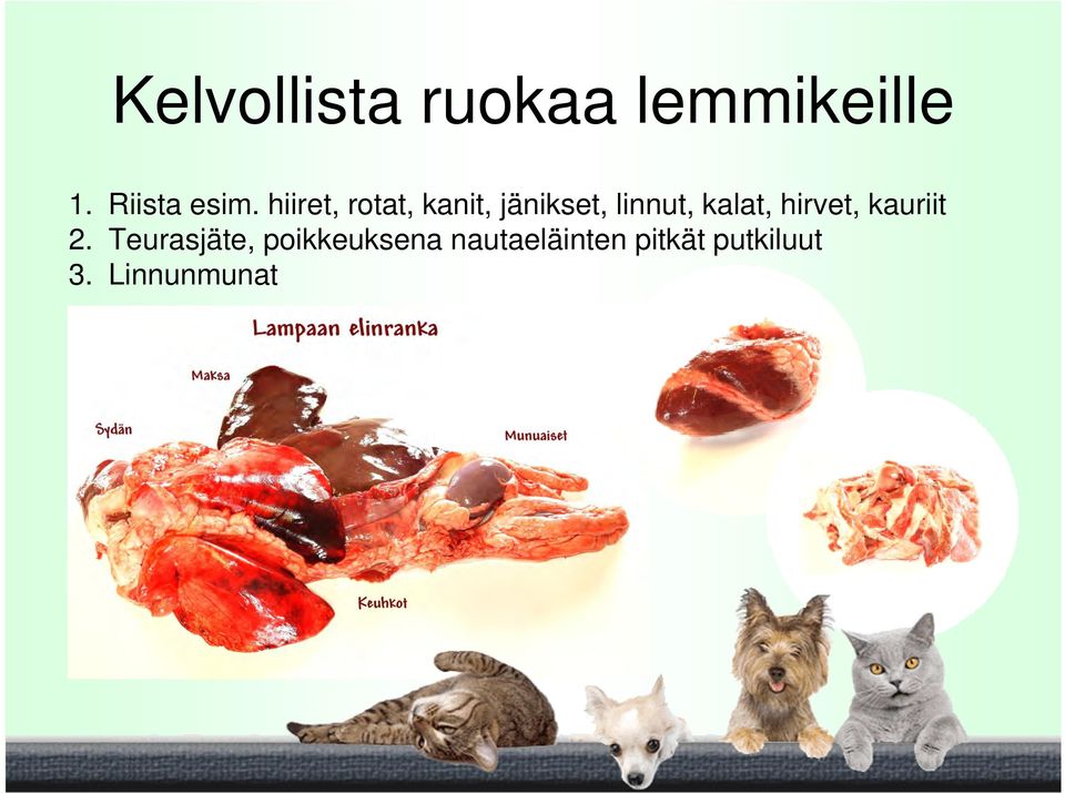 kalat, hirvet, kauriit 2.