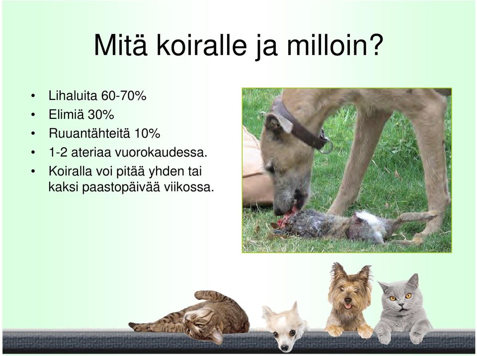 Ruuantähteitä 10% 1-2 ateriaa