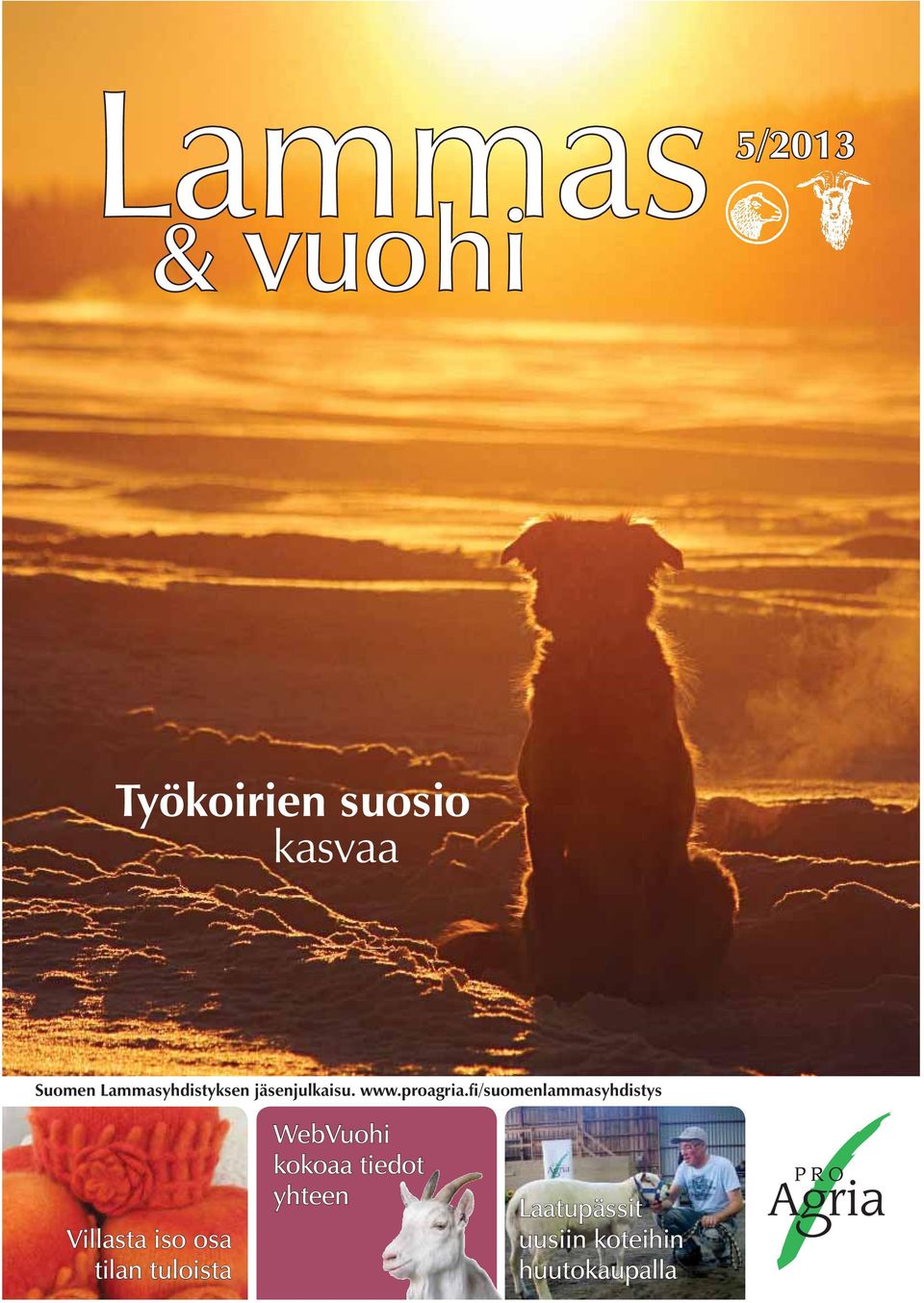 fi/suomenlammasyhdistys Villasta iso osa tilan tuloista