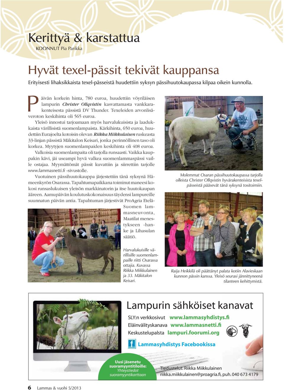 Yleisö innostui tarjoamaan myös harvalukuisista ja laadukkaista värillisistä suomenlampaista.