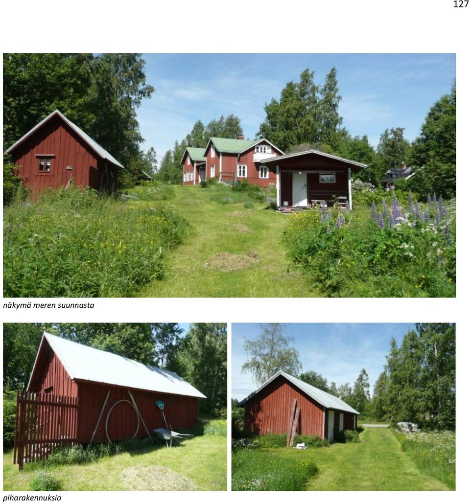 suunnasta