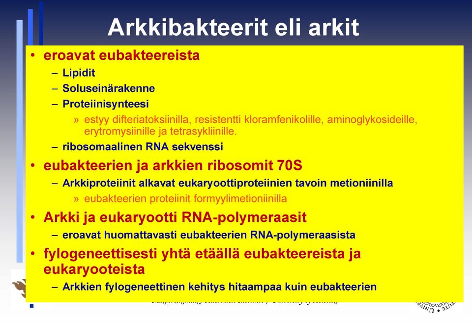 ribosomaalinen RNA sekvenssi eubakteerien ja arkkien ribosomit 70S Arkkiproteiinit alkavat eukaryoottiproteiinien tavoin metioniinilla» eubakteerien