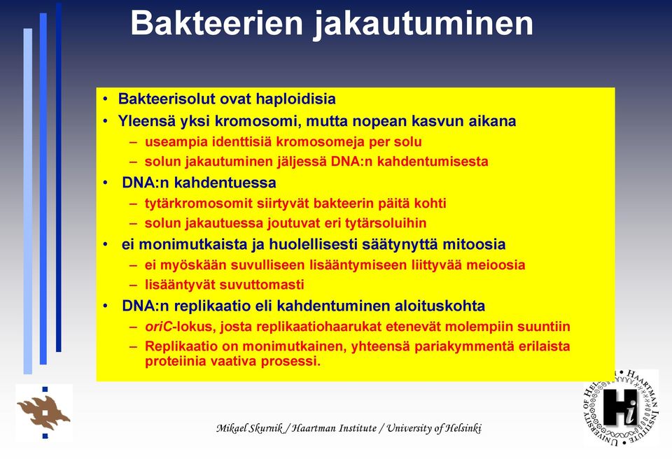 monimutkaista ja huolellisesti säätynyttä mitoosia ei myöskään suvulliseen lisääntymiseen liittyvää meioosia lisääntyvät suvuttomasti DNA:n replikaatio eli