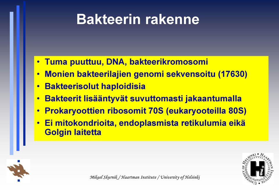 Bakteerit lisääntyvät suvuttomasti jakaantumalla Prokaryoottien ribosomit