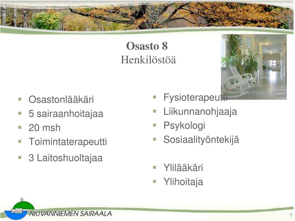 Laitoshuoltajaa Fysioterapeutti