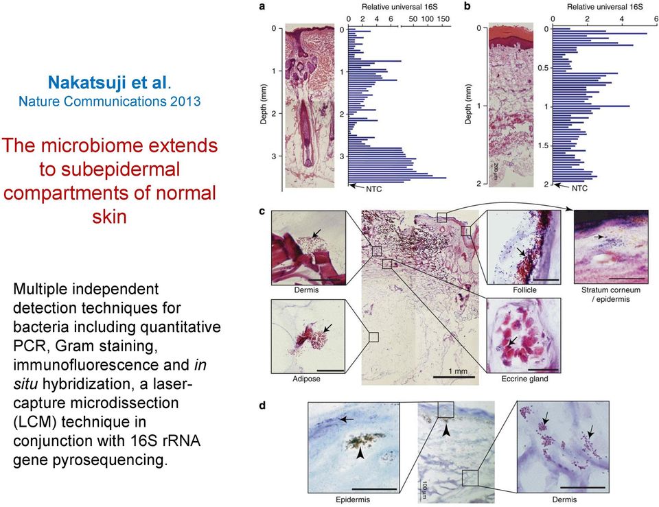 normal skin Multiple independent detection techniques for bacteria including