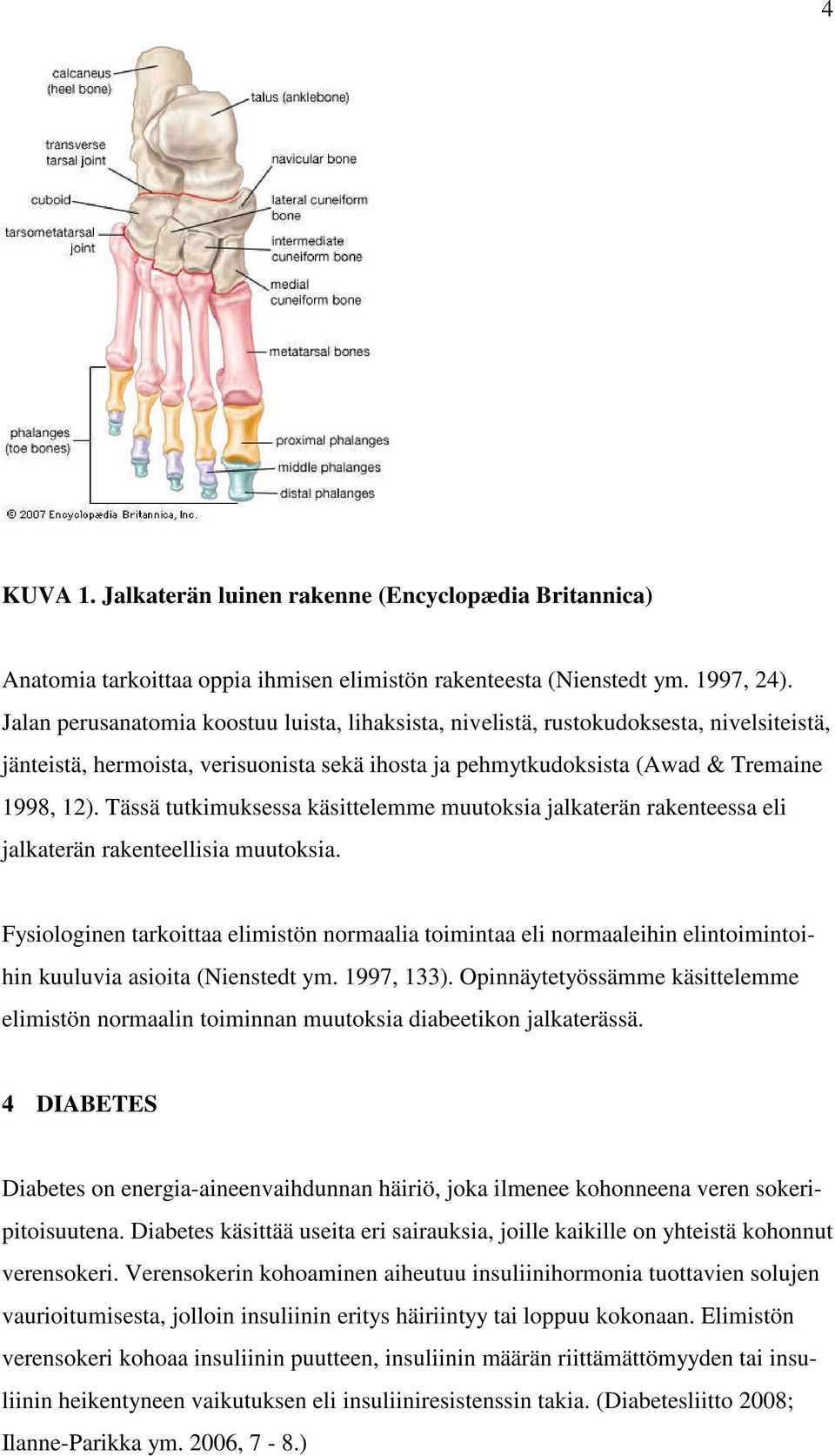 Tässä tutkimuksessa käsittelemme muutoksia jalkaterän rakenteessa eli jalkaterän rakenteellisia muutoksia.