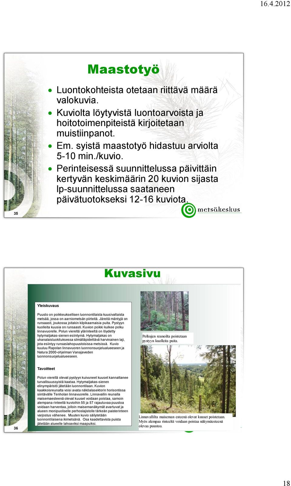 35 Kuvasivu Yleiskuvaus Puusto on poikkeuksellisen luonnontilaista kuusivaltaista metsää, jossa on aarniometsän piirteitä. Järeitä mäntyjä on runsaasti, joukossa joitakin kilpikaarnaisia puita.