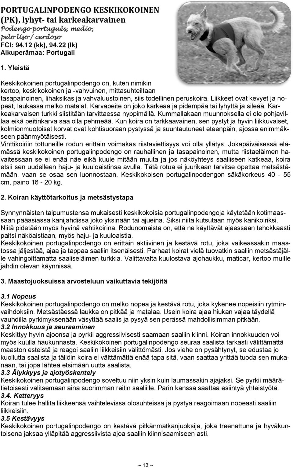 peruskoira. Liikkeet ovat kevyet ja nopeat, laukassa melko matalat. Karvapeite on joko karkeaa ja pidempää tai lyhyttä ja sileää. Karkeakarvaisen turkki siistitään tarvittaessa nyppimällä.