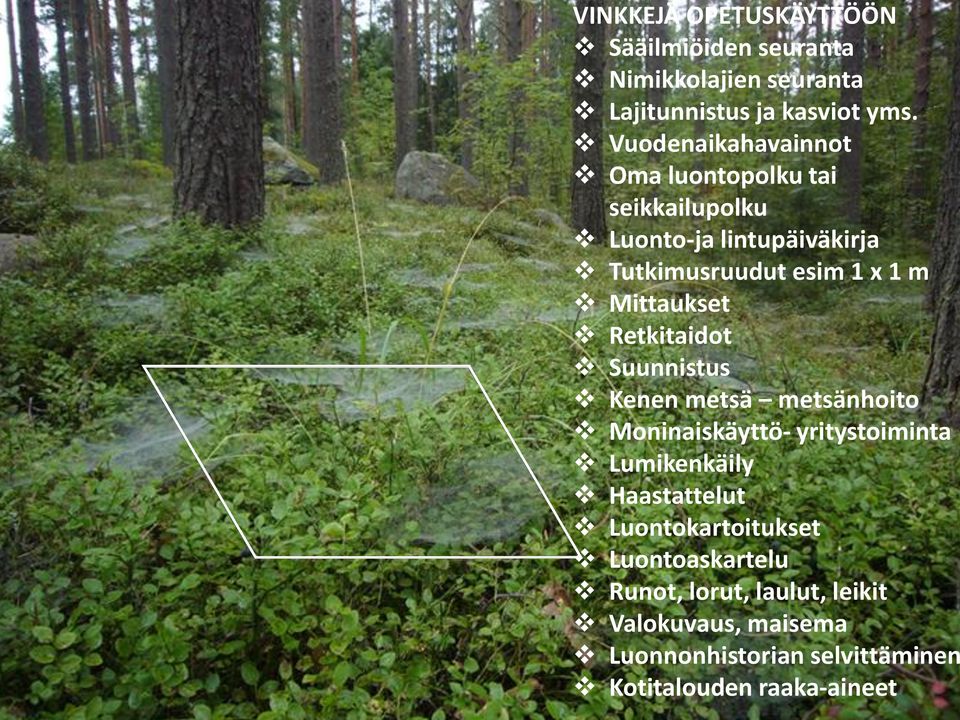 Mittaukset Retkitaidot Suunnistus Kenen metsä metsänhoito Moninaiskäyttö- yritystoiminta Lumikenkäily Haastattelut