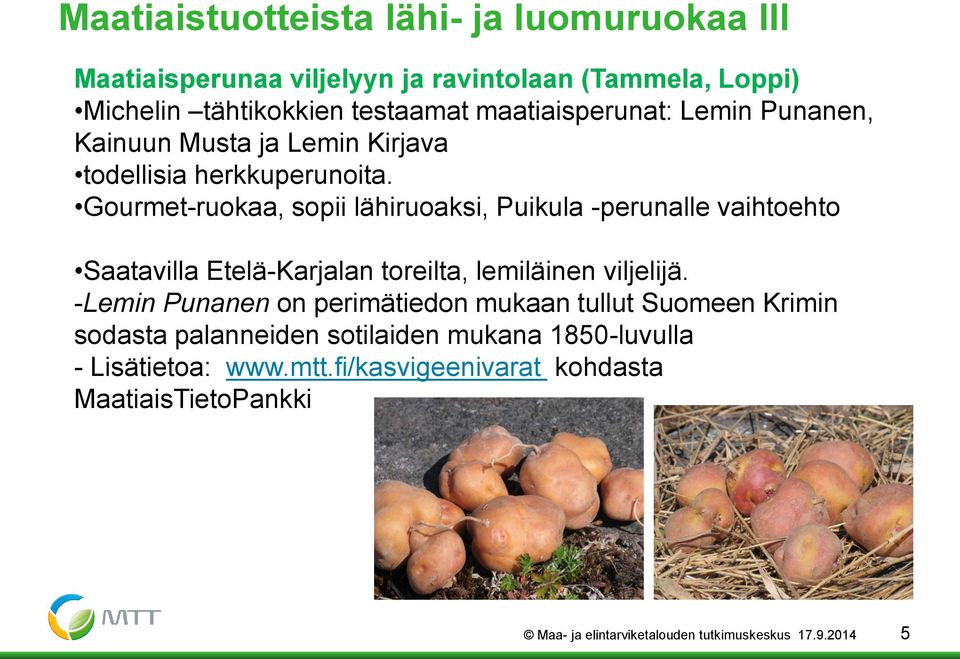 Gourmet-ruokaa, sopii lähiruoaksi, Puikula -perunalle vaihtoehto Saatavilla Etelä-Karjalan toreilta, lemiläinen viljelijä.