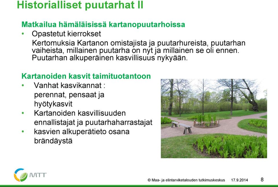 Puutarhan alkuperäinen kasvillisuus nykyään.