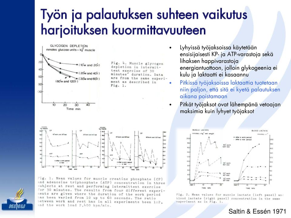 kulu ja laktaatti ei kasaannu Pitkissä työjaksoissa laktaattia tuotetaan niin paljon, että sitä ei kyetä