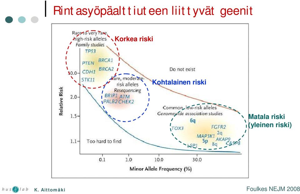 riski Kohtalainen riski