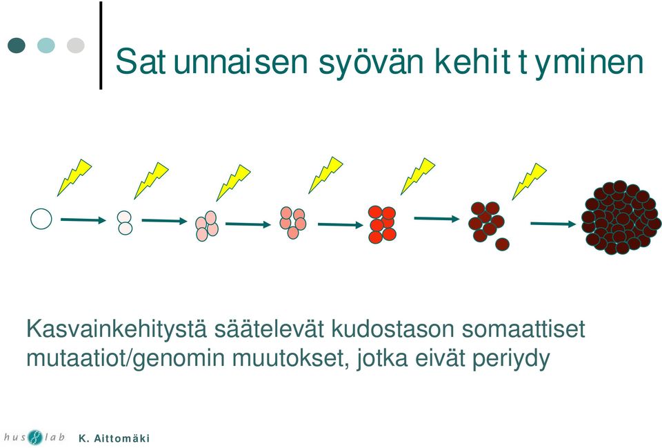 kudostason somaattiset