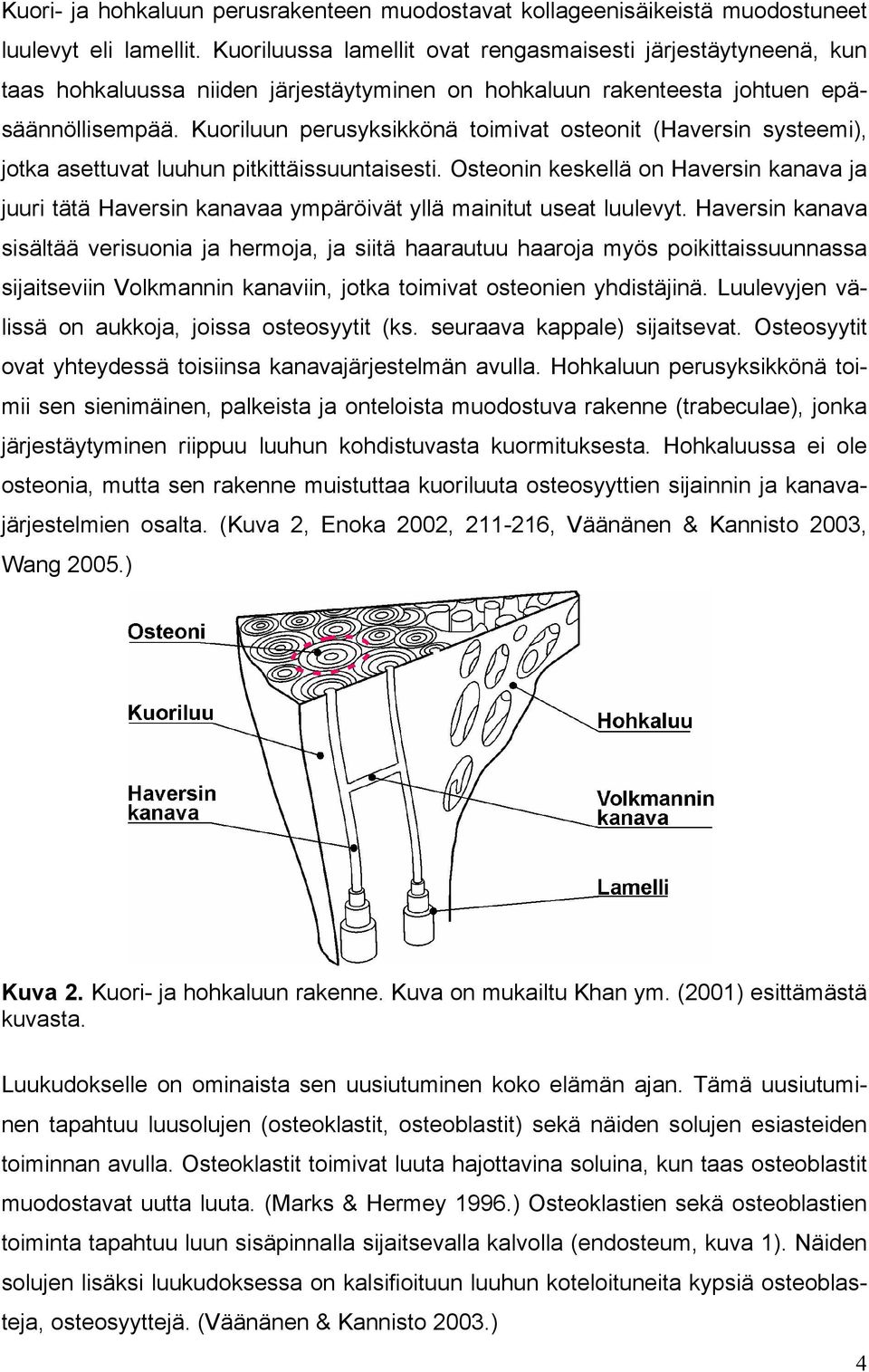 Kuoriluun perusyksikkönä toimivat osteonit (Haversin systeemi), jotka asettuvat luuhun pitkittäissuuntaisesti.