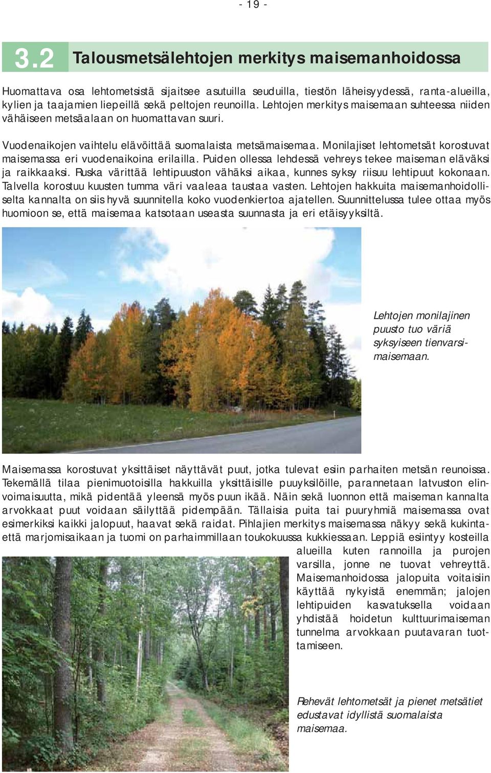 reunoilla. Lehtojen merkitys maisemaan suhteessa niiden vähäiseen metsäalaan on huomattavan suuri. Vuodenaikojen vaihtelu elävöittää suomalaista metsämaisemaa.