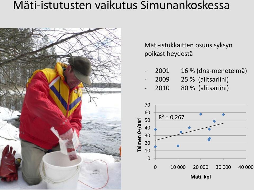 (dna-menetelmä) - 2009 25 % (alitsariini) - 2010 80 %