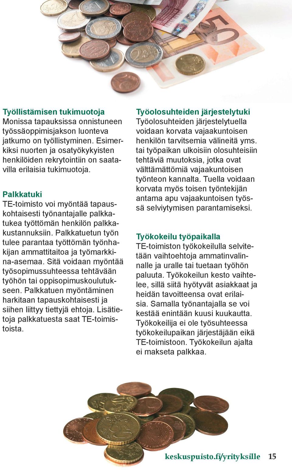 Palkkatuki TE-toimisto voi myöntää tapauskohtaisesti työnantajalle palkkatukea työttömän henkilön palkkakustannuksiin.