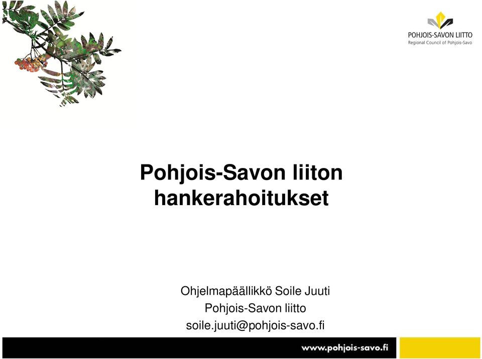 Ohjelmapäällikkö Soile Juuti