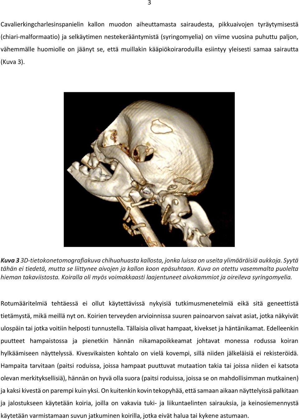 Kuva 3 3D-tietokonetomografiakuva chihuahuasta kallosta, jonka luissa on useita ylimääräisiä aukkoja. Syytä tähän ei tiedetä, mutta se liittynee aivojen ja kallon koon epäsuhtaan.