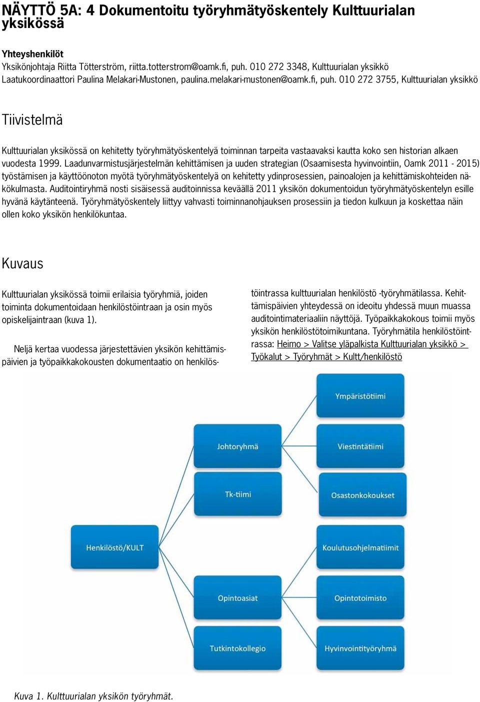 010 272 3755, Kulttuurialan yksikkö Tiivistelmä Kulttuurialan yksikössä on kehitetty työryhmätyöskentelyä toiminnan tarpeita vastaavaksi kautta koko sen historian alkaen vuodesta 1999.