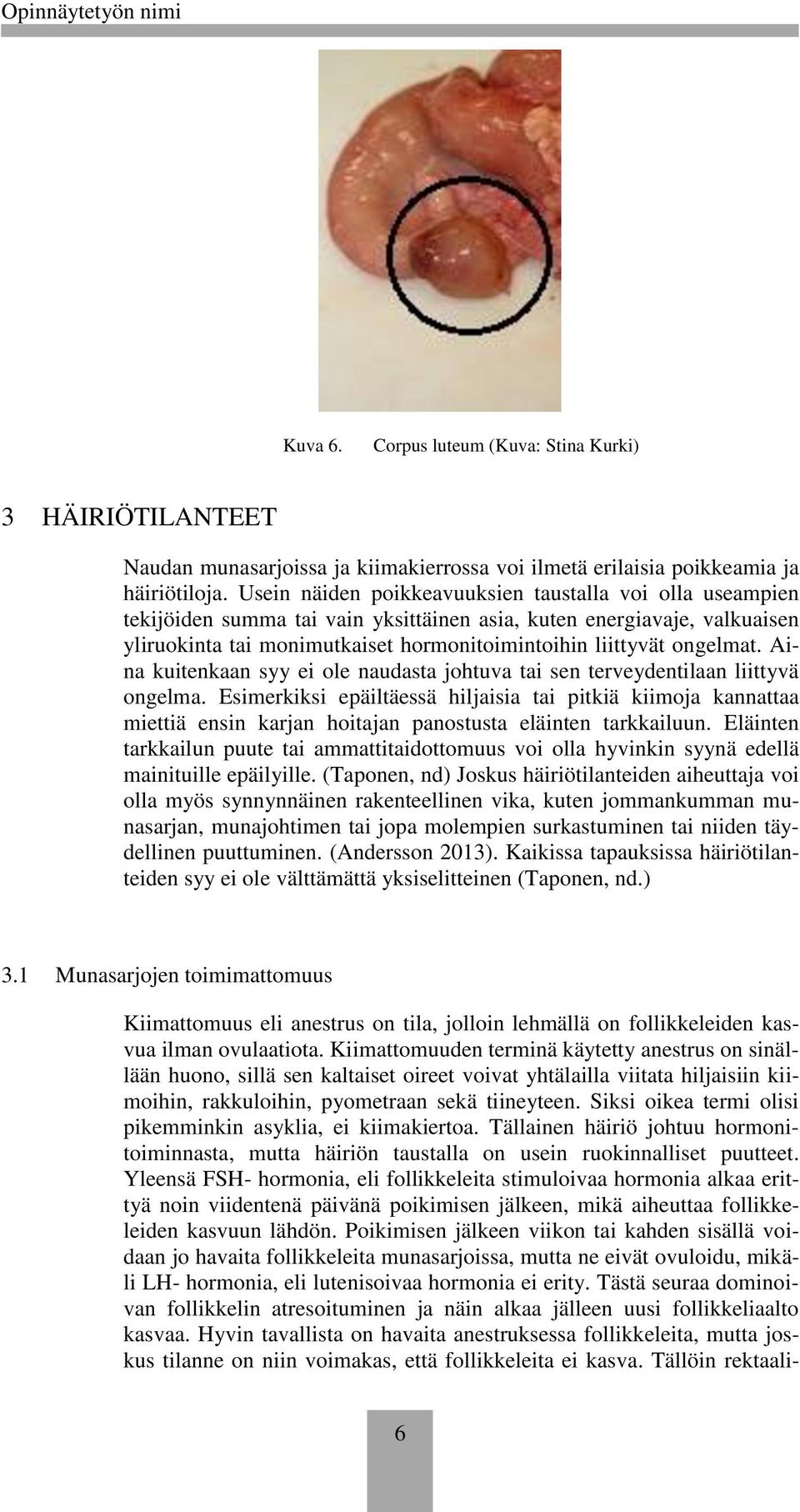 Aina kuitenkaan syy ei le naudasta jhtuva tai sen terveydentilaan liittyvä ngelma.
