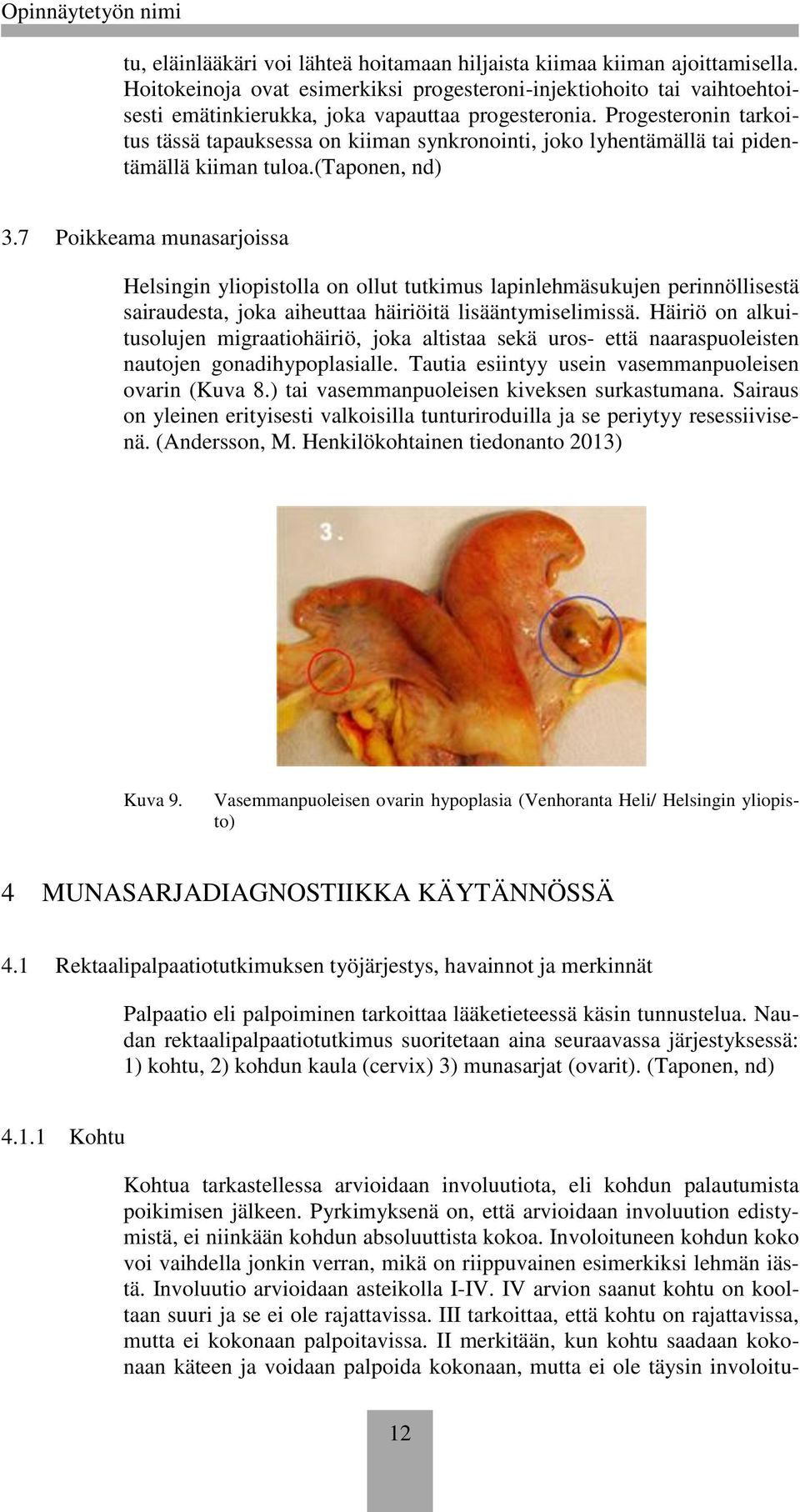 7 Pikkeama munasarjissa Helsingin ylipistlla n llut tutkimus lapinlehmäsukujen perinnöllisestä sairaudesta, jka aiheuttaa häiriöitä lisääntymiselimissä.