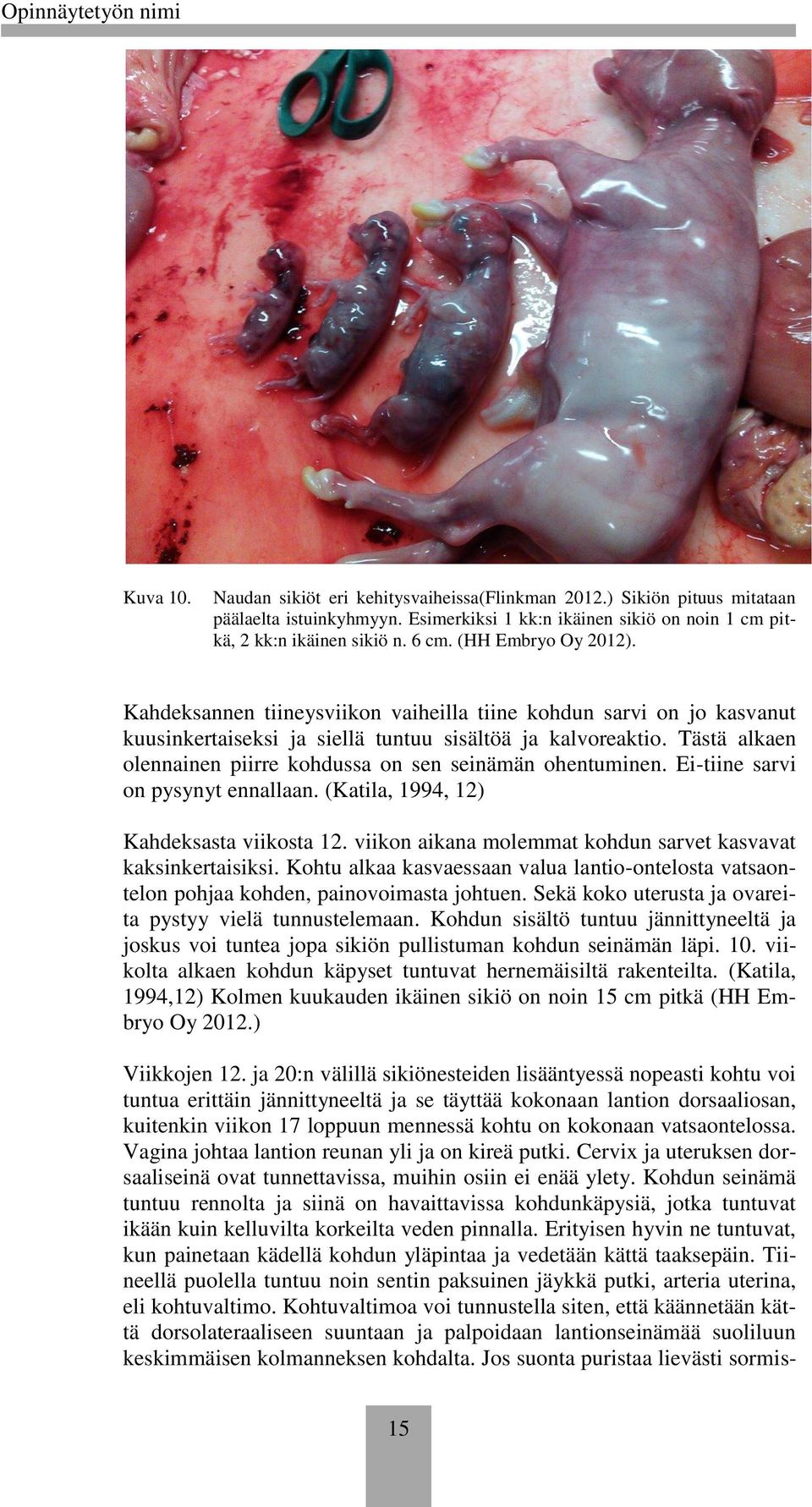 Tästä alkaen lennainen piirre khdussa n sen seinämän hentuminen. Ei-tiine sarvi n pysynyt ennallaan. (Katila, 1994, 12) Kahdeksasta viiksta 12.