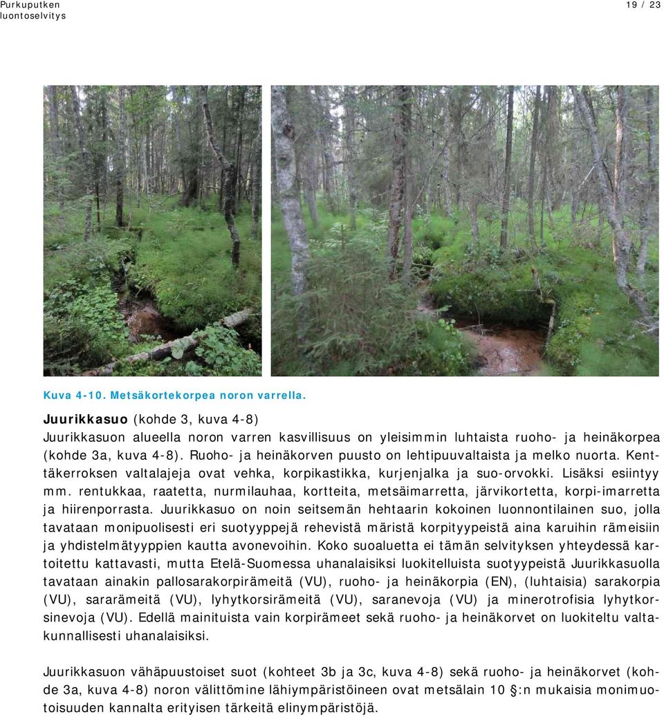 rentukkaa, raatetta, nurmilauhaa, kortteita, metsäimarretta, järvikortetta, korpi-imarretta ja hiirenporrasta.