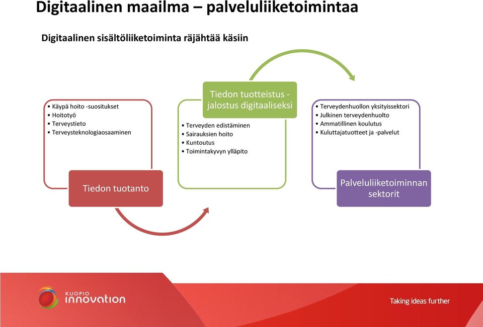 Terveyden edistäminen Sairauksien hoito Kuntoutus Toimintakyvyn ylläpito Terveydenhuollon yksityissektori