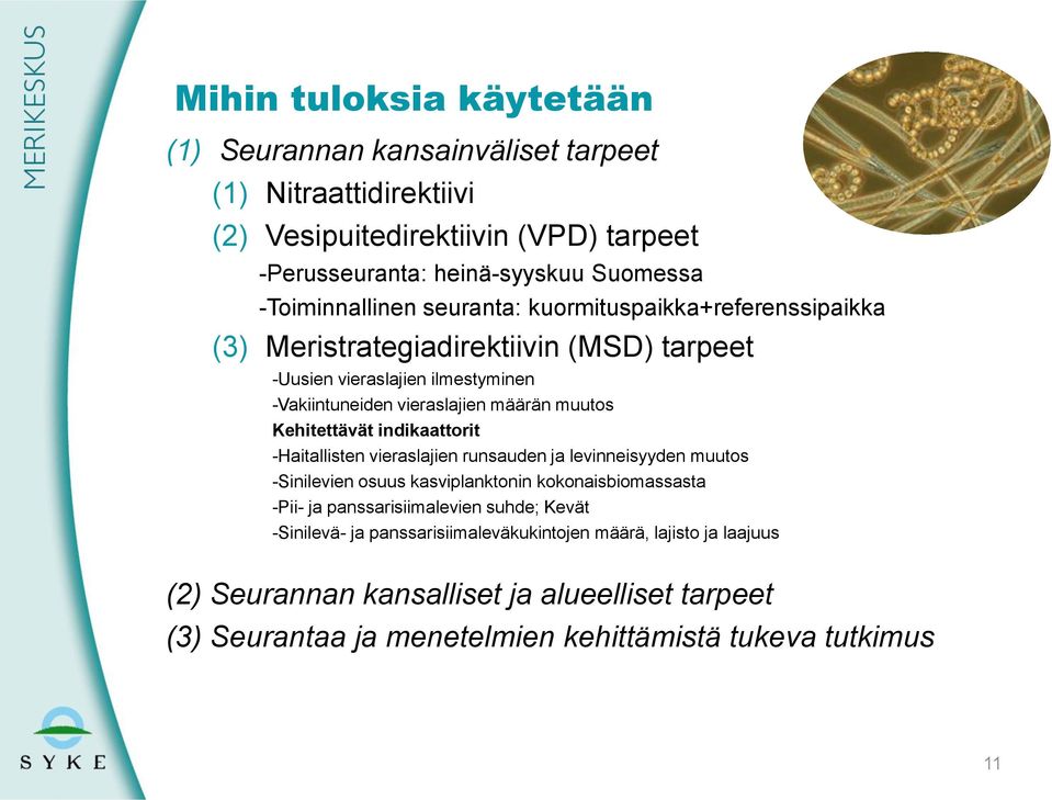 muutos Kehitettävät indikaattorit -Haitallisten vieraslajien runsauden ja levinneisyyden muutos -Sinilevien osuus kasviplanktonin kokonaisbiomassasta -Pii- ja