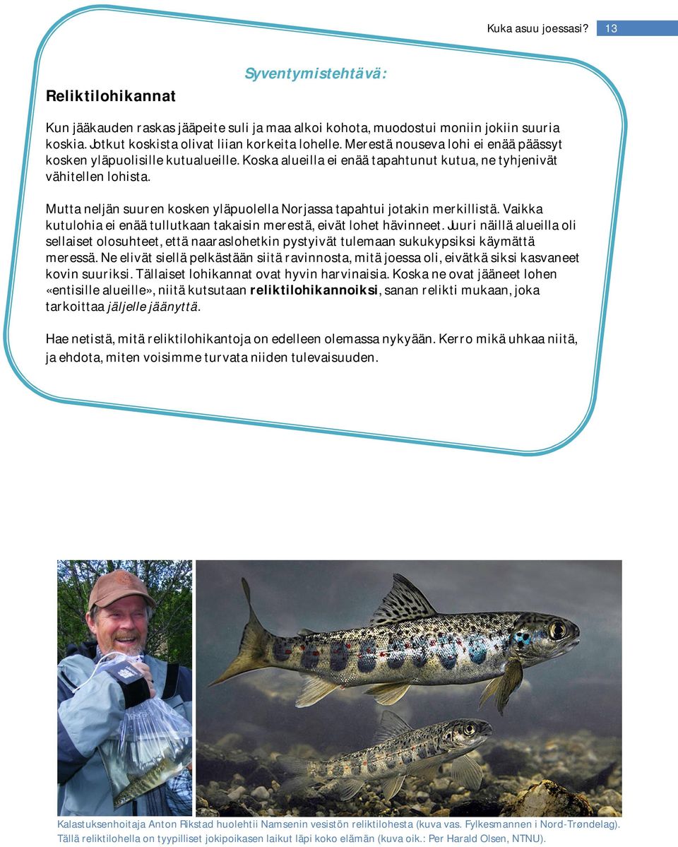 Mutta neljän suuren kosken yläpuolella Norjassa tapahtui jotakin merkillistä. Vaikka kutulohia ei enää tullutkaan takaisin merestä, eivät lohet hävinneet.