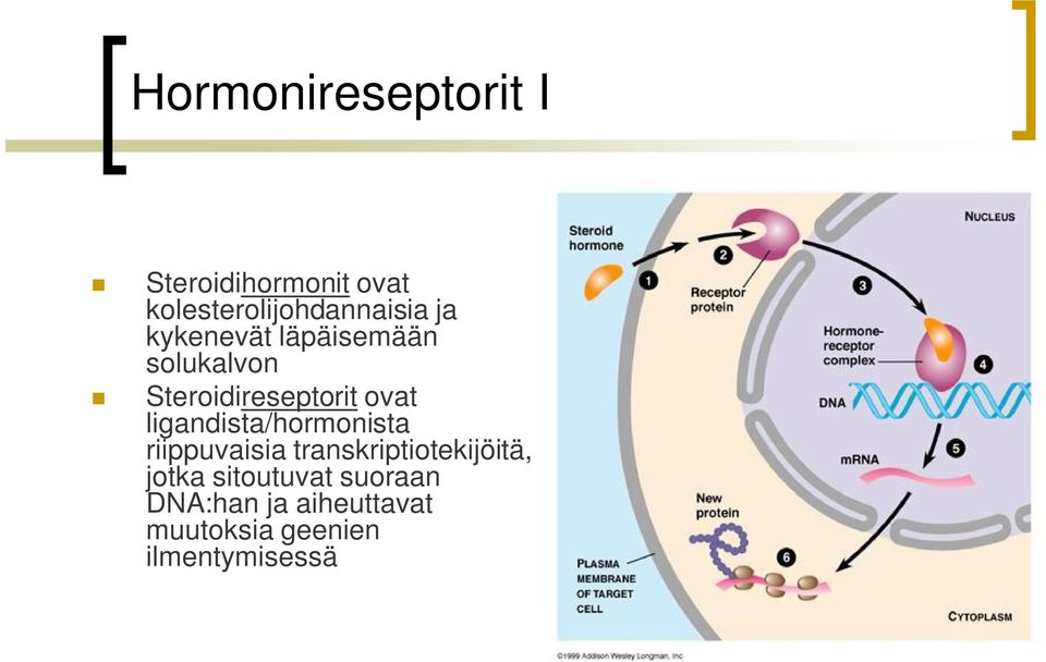 ligandista/hormonista riippuvaisia transkriptiotekijöitä, jotka