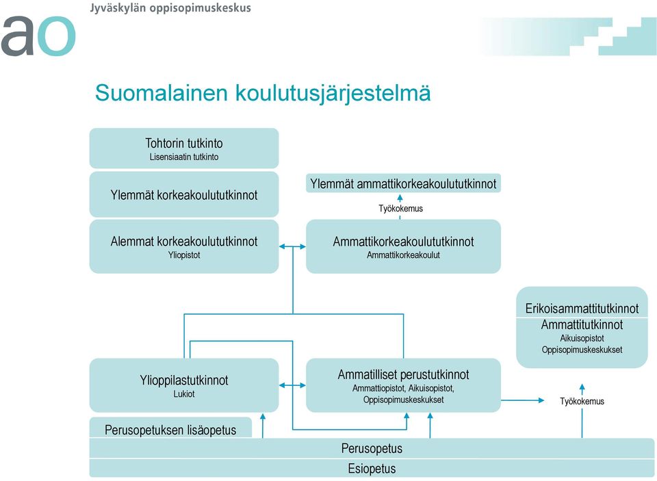 Ammattikorkeakoulut Ylioppilastutkinnot Lukiot Perusopetuksen lisäopetus Ammatilliset perustutkinnot Ammattiopistot,