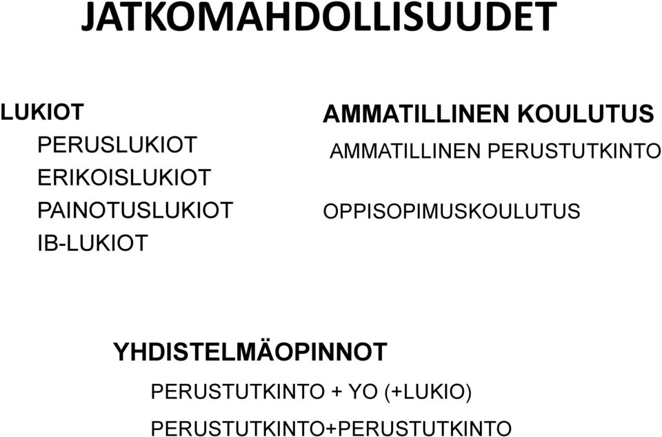 AMMATILLINEN PERUSTUTKINTO OPPISOPIMUSKOULUTUS
