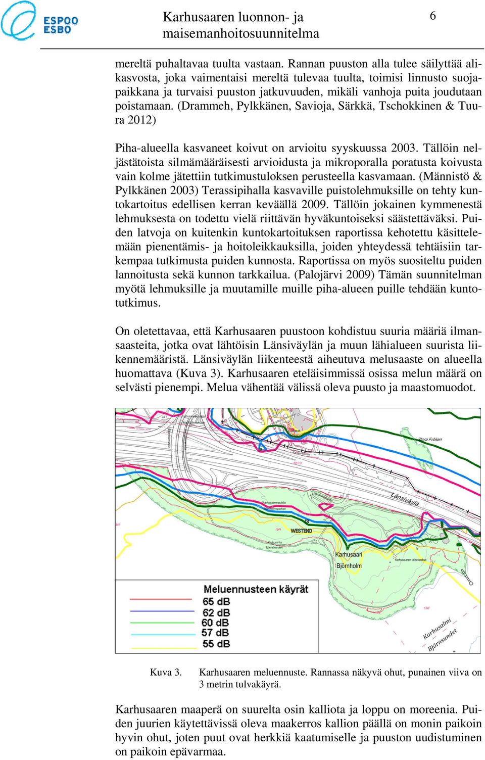 (Drammeh, Pylkkänen, Savioja, Särkkä, Tschokkinen & Tuura 2012) Piha-alueella kasvaneet koivut on arvioitu syyskuussa 2003.