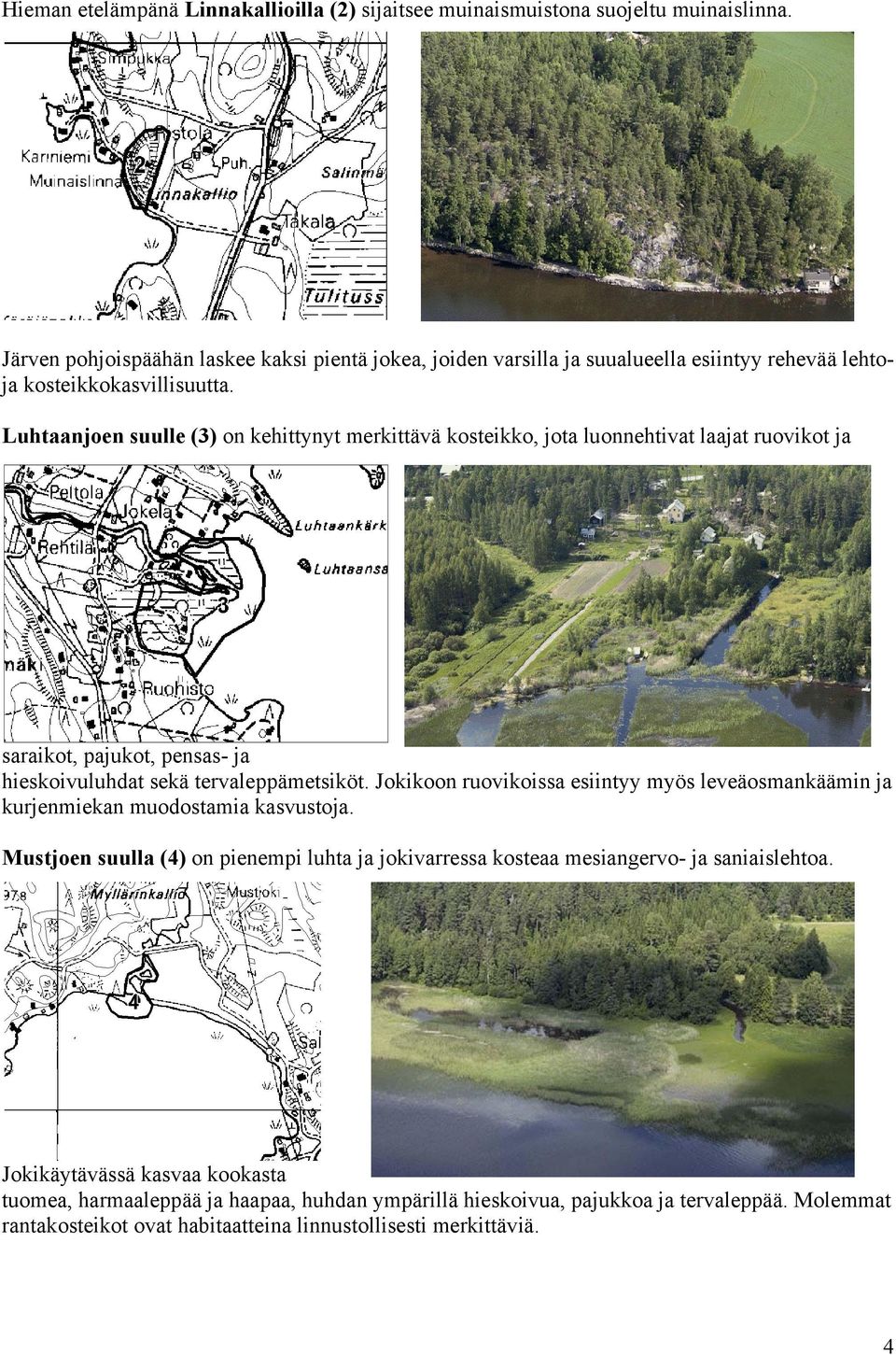 Luhtaanjoen suulle (3) on kehittynyt merkittävä kosteikko, jota luonnehtivat laajat ruovikot ja saraikot, pajukot, pensas- ja hieskoivuluhdat sekä tervaleppämetsiköt.