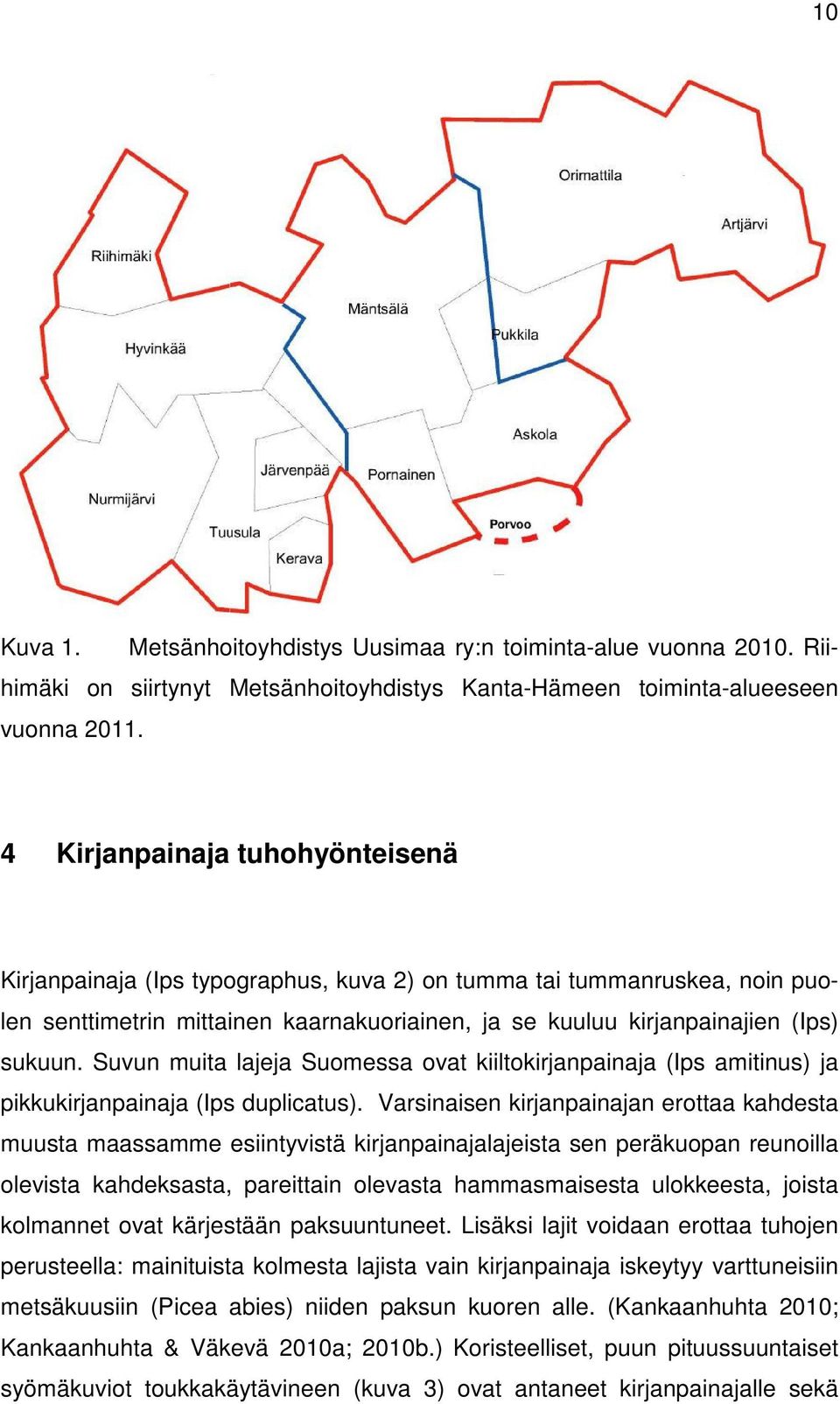 Suvun muita lajeja Suomessa ovat kiiltokirjanpainaja (Ips amitinus) ja pikkukirjanpainaja (Ips duplicatus).