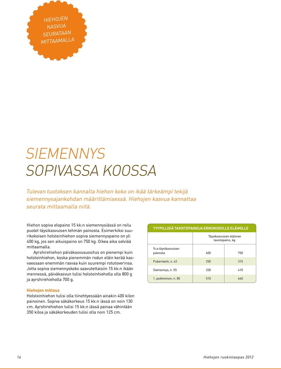 Esimerkiksi suurikokoisen holsteinhiehon sopiva siemennyspaino on yli 400 kg, jos sen aikuispaino on 750 kg. Oikea aika selviää mittaamalla.