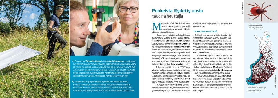 Keräys tuotti arvokasta tietoa taigapunkin levinneisyydestä. Näytteistä koottiin punkkipankki jatkotutkimuksia varten. Pakasteessa odottaa vielä vuosien työ.