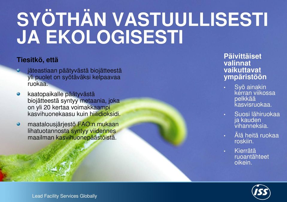maatalousjärjestö FAO:n mukaan lihatuotannosta syntyy viidennes maailman kasvihuonepäästöistä.