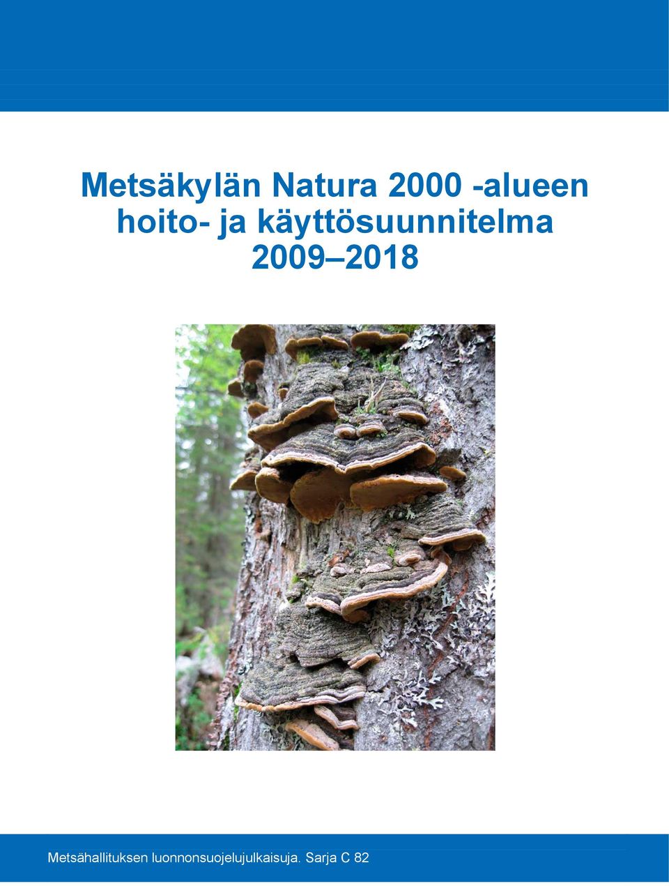 2018 Kansikuvan paikka